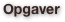 Opgaver